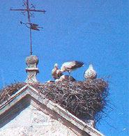 Iglesia Parroquial San Juan Bautista